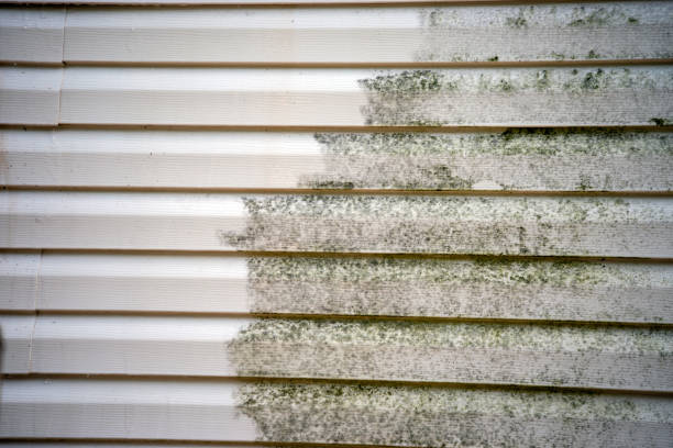 Best Storm Damage Siding Repair  in Hermosa Beach, CA