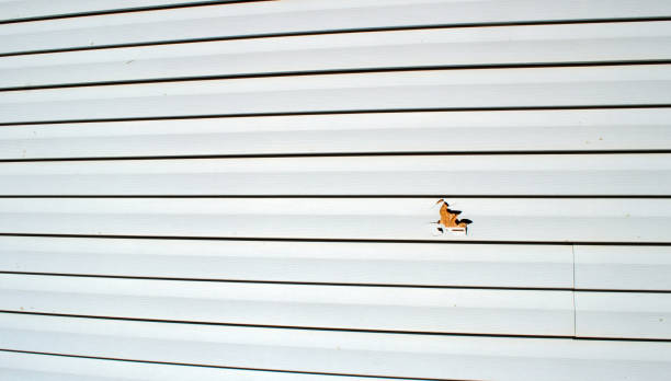 Best Siding for Commercial Buildings  in Hermosa Beach, CA