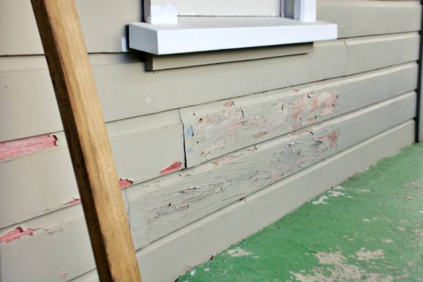 Affordable siding repair and maintenance services in Hermosa Beach, CA